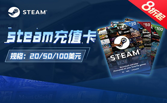Steam充值卡-100美金(人工代充)
