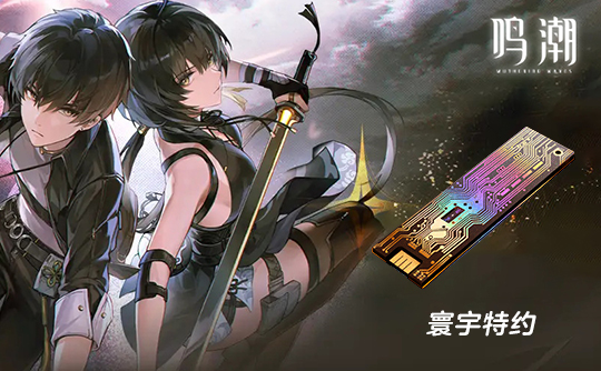 寰宇特约(国际服)上号代充 鸣潮